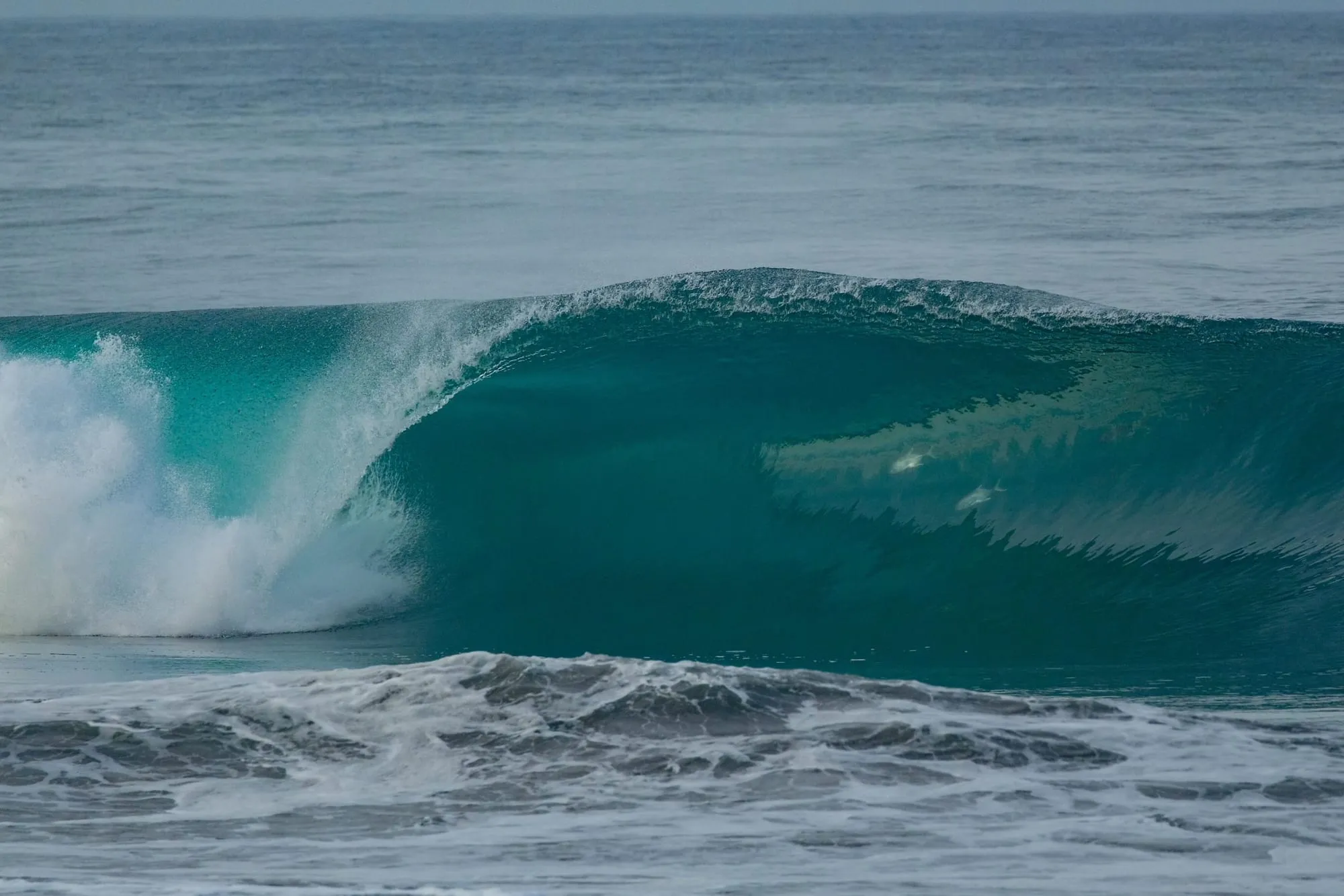 A green Garden Route wave peeling into the bay