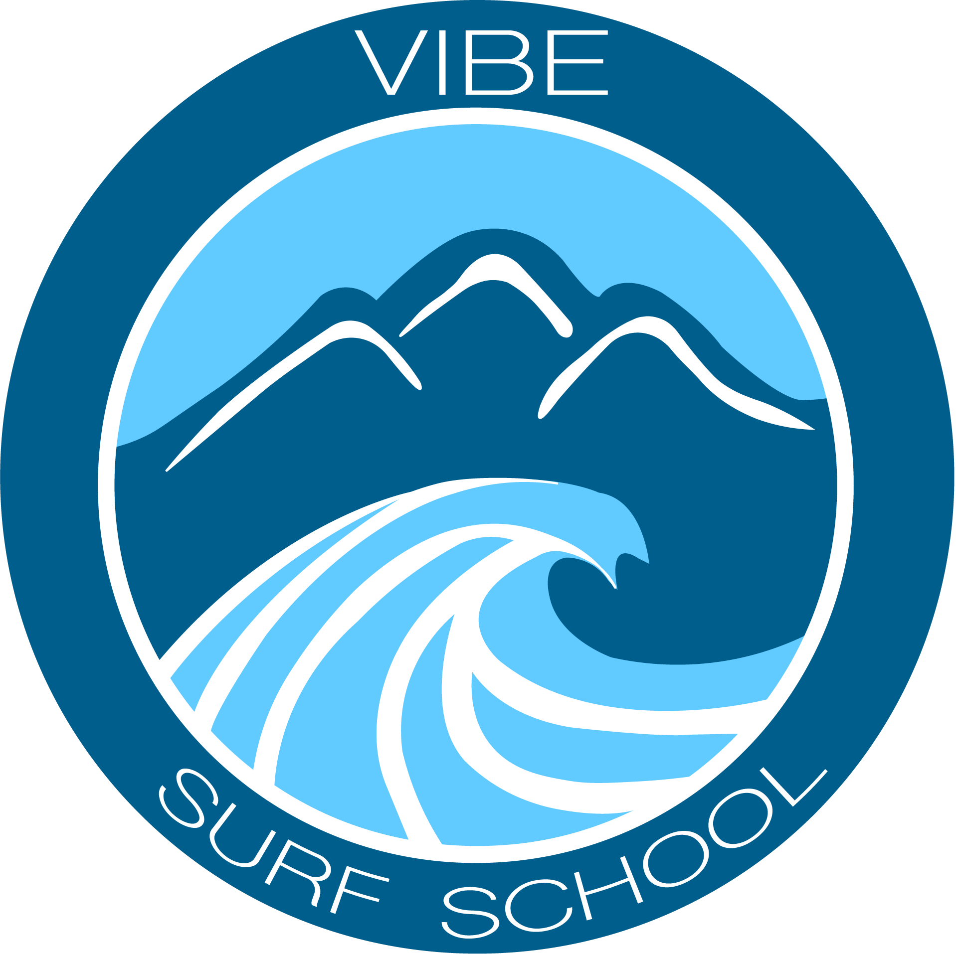 Vibe Surf School